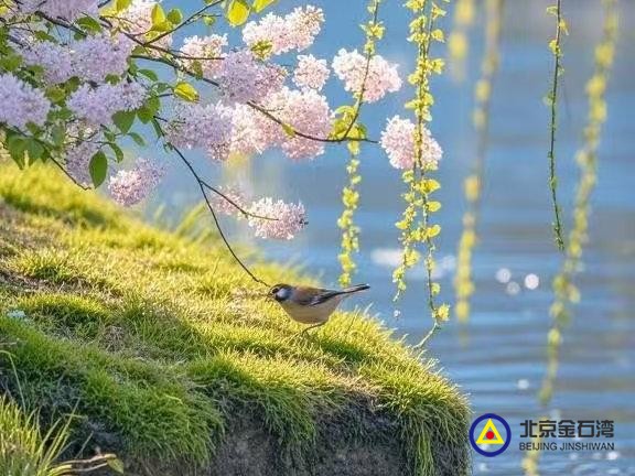 ca16f70805f2a3f02ba3d10340796642 (2)